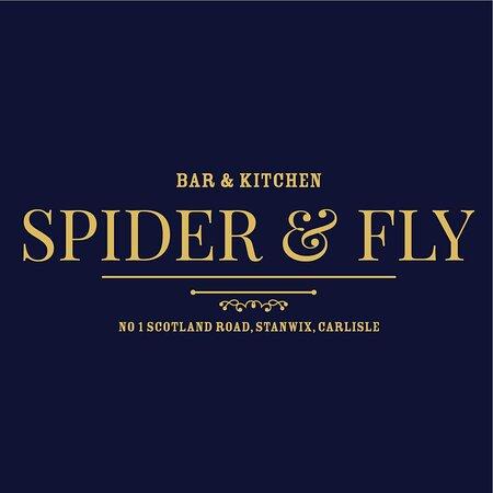 Spider and Fly